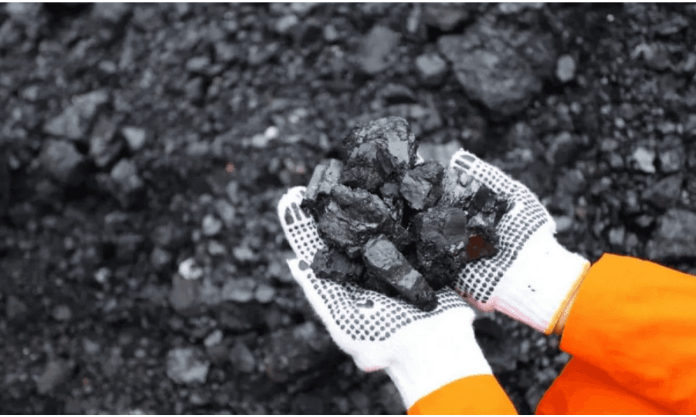 Salamuddin Daeng Desak Bank Indonesia Tindak Tegas Pelanggar Aturan Devisa Hasil Ekspor SDA