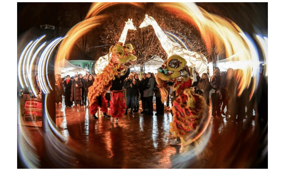 Festival “A Taste of China” Hadirkan Kuliner dan Budaya Tiongkok di Kebun Binatang Budapest