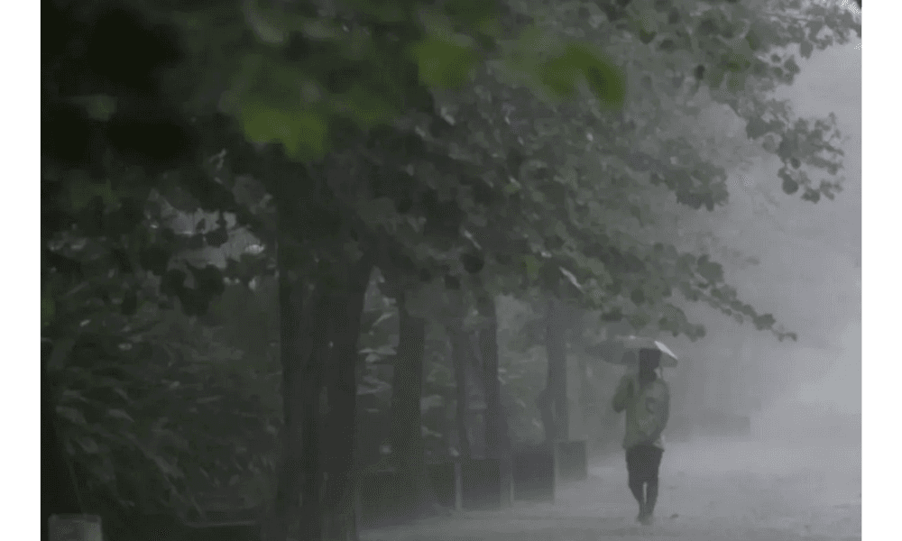 BMKG: Hujan Ringan Dominasi Cuaca di Sejumlah Wilayah Indonesia pada 1 Februari 2026