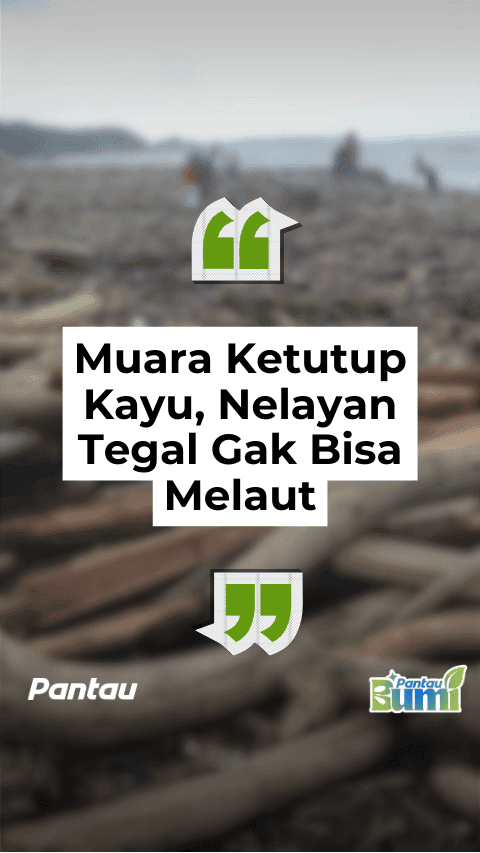 MUARA KETUTUP KAYU, NELAYAN TEGAL GAK BISA MELAUT