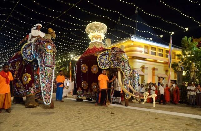 Parade Navam Maha Perahera Meriahkan Kolombo, Tradisi Buddha Sarat Warna dan Spiritualitas