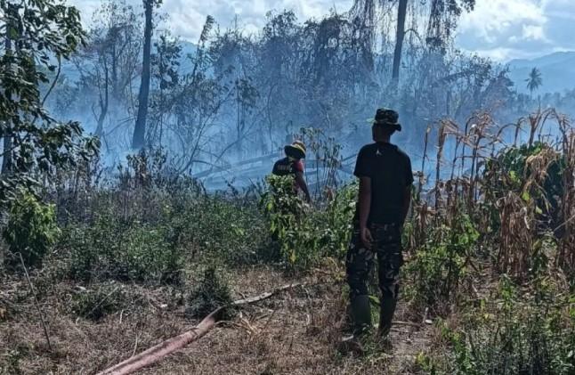 BNPB Peringatkan Ancaman Kekeringan dan Karhutla di Parigi Moutong, Ratusan Keluarga Kekurangan Air Bersih