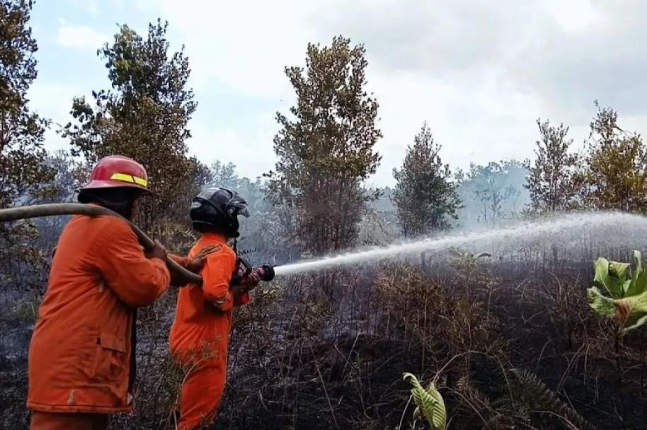 Disdamkarmat Natuna Padamkan Kebakaran Lahan dan Gudang dalam Sehari, Penyebab Masih Diselidiki