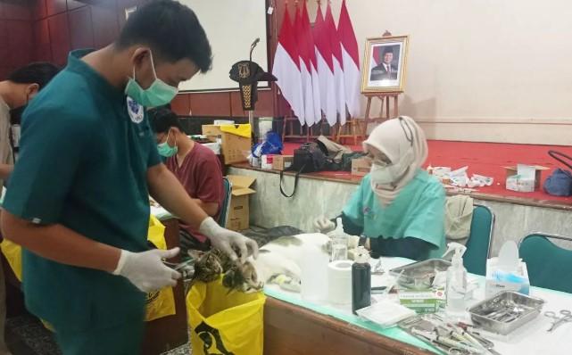 Sudin KPKP Jakarta Timur Targetkan Vaksinasi 14 Ribu Hewan Penular Rabies Sepanjang 2026