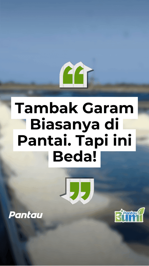TAMBAK GARAM BIASANYA DI PANTAI. TAPI INI BEDA!