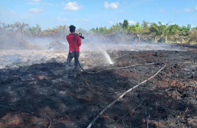 Lonjakan Titik Panas di Riau Capai 160, Pelalawan Paling Terdampak