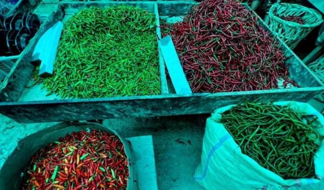 Harga Pangan Terbaru: Cabai Rawit Tembus Rp68 Ribu, Beras Medium di Atas Rp15 Ribu per Kilogram