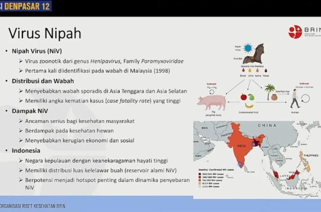 Waspadai Virus Nipah, Netty Prasetiyani Dorong Pemerintah Perkuat Edukasi dan Kesiapsiagaan Nasional
