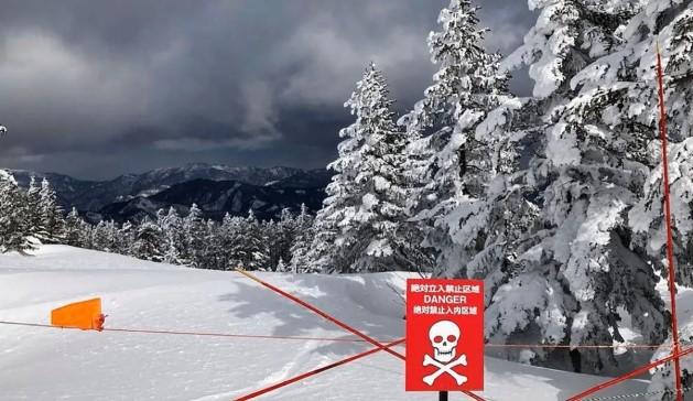 Jepang Dilanda Badai Salju Jelang Pemilu, Hokkaido hingga Tokyo Terancam Gangguan Cuaca Ekstrem