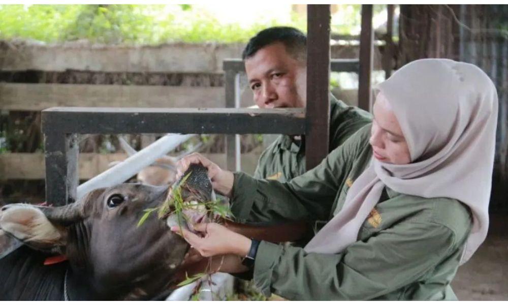 Jelang Ramadhan dan Idul Fitri, Kementan Perkuat Pengendalian Penyakit Hewan untuk Jaga Pasokan Pangan