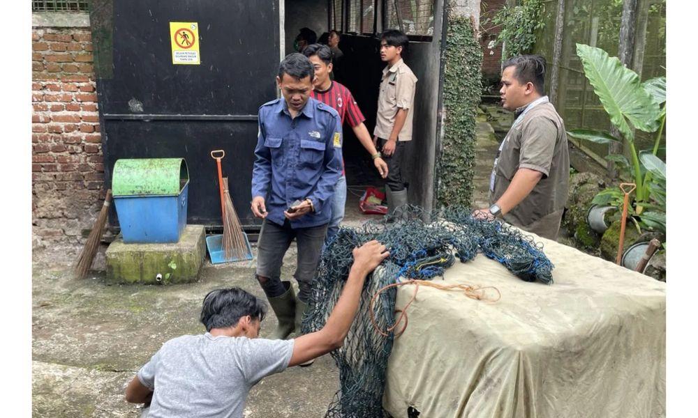 Macan Tutul Penyerang Warga Pacet Direhabilitasi di Taman Satwa Cikembulan