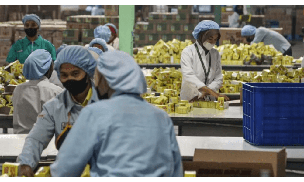 Angka Pengangguran Turun, Tapi Kualitas Pekerjaan Masih Jadi Tantangan Pasar Tenaga Kerja Indonesia