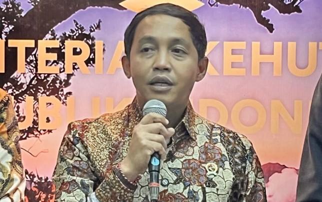 Menteri Kehutanan Tegaskan Tidak Ada Ampun bagi Pelaku Pembunuhan Gajah Sumatera di Riau