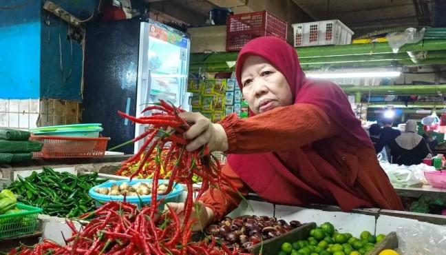 Harga Pangan Nasional Terpantau Turun: Cabai, Beras, hingga Daging Mengalami Penurunan Serentak