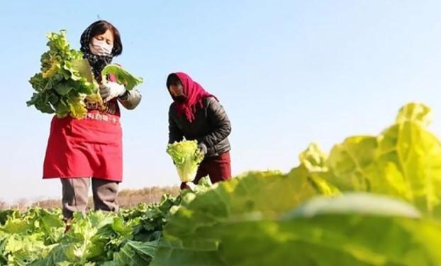 Pola Makan Vegan untuk Bayi Tidak Hambat Pertumbuhan Fisik jika Direncanakan dengan Baik
