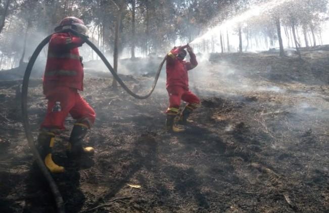 Kemenhut Kerahkan Tim Gabungan Padamkan Karhutla di Riau dan Kepri, Pulau Mendol Jadi Prioritas