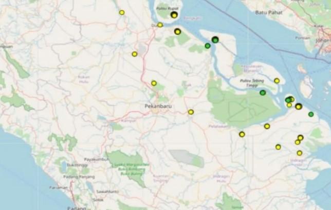 BMKG Deteksi 251 Titik Panas di Riau, Karhutla Meluas di 10 Kabupaten/Kota