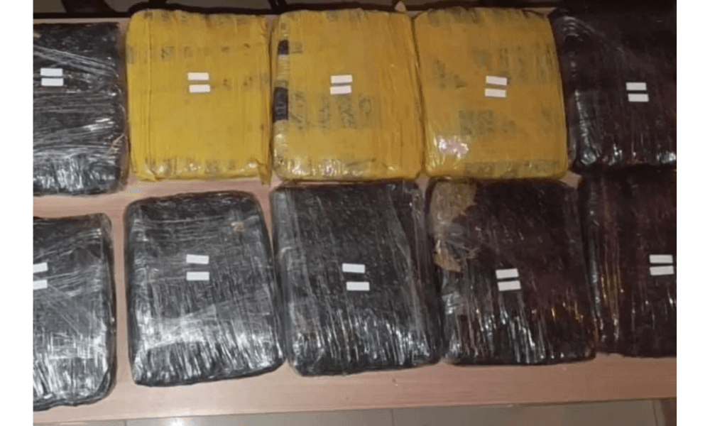 Polisi Gagalkan Peredaran 15,507 Kilogram Ganja di Parkir Stasiun Tanah Abang, Tiga Pria Ditangkap