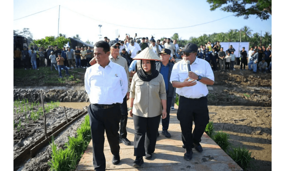 Kementan Alokasikan Rp336 Miliar untuk Rehabilitasi Sawah Terdampak Banjir di Sumatera