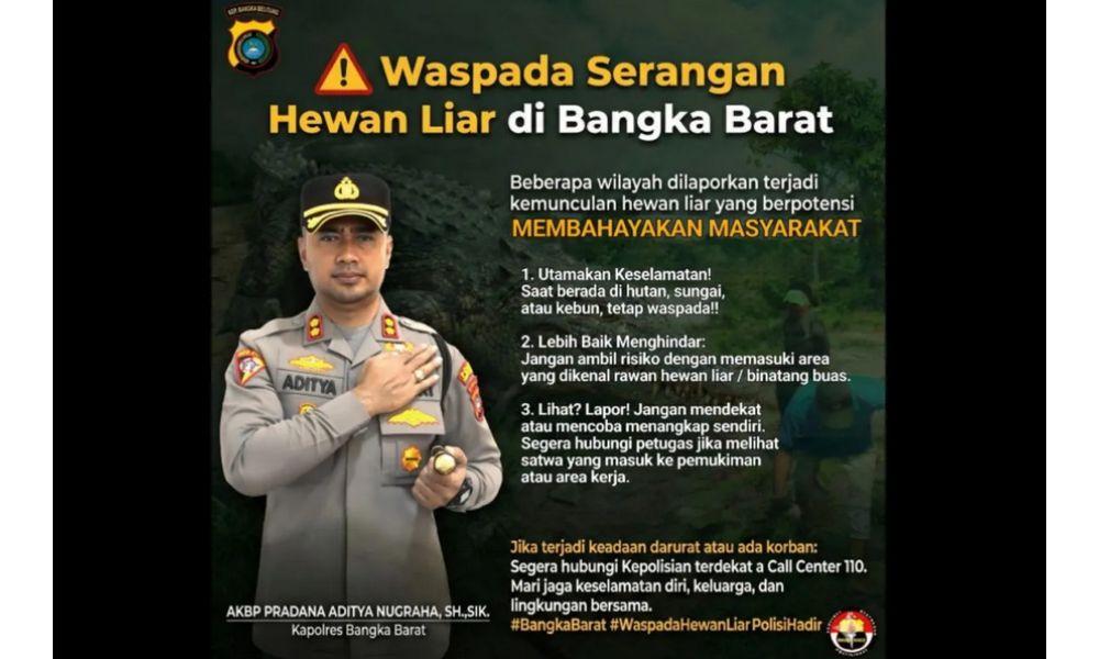 Polres Bangka Barat Rilis Peta Lokasi Rawan Serangan Buaya untuk Cegah Insiden