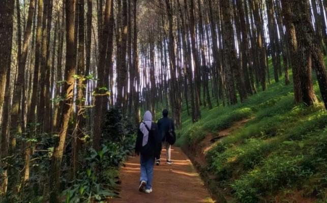 Pariwisata Indonesia Hadapi Tren Global 2026, Pemerintah Targetkan 17,6 Juta Wisman