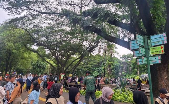 Ragunan Diprediksi Dikunjungi 20 Ribu Orang Saat Libur Imlek 2577 Kongzili