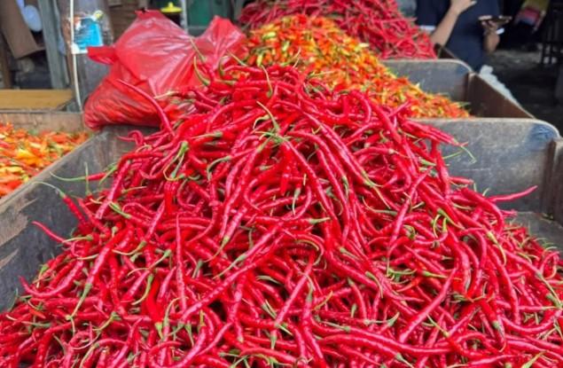Harga Cabai Rawit Merah Tembus Rp88.600 per Kg, Telur Ayam Ras Rp32.200 Menurut Data PIHPS