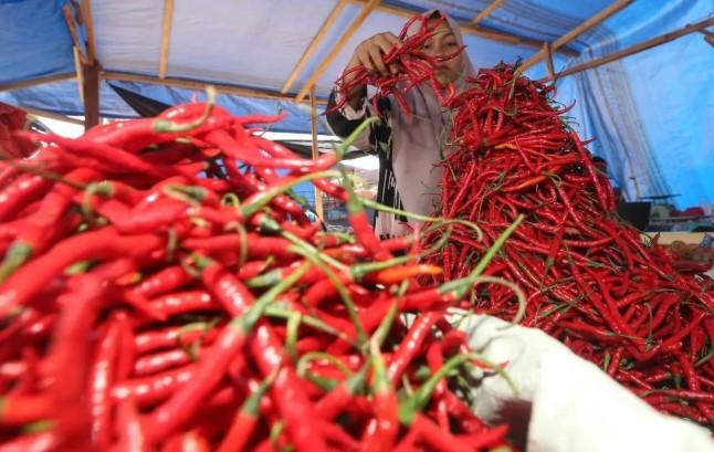 Harga Pangan Nasional Terkini Naik, Cabai Rawit Merah Tembus Rp82.950 per Kilogram