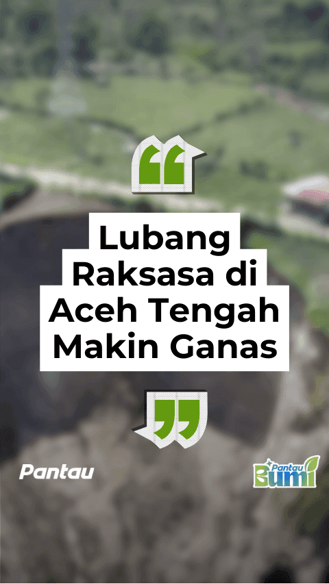 LUBANG RAKSASA DI ACEH TENGAH MAKIN GANAS