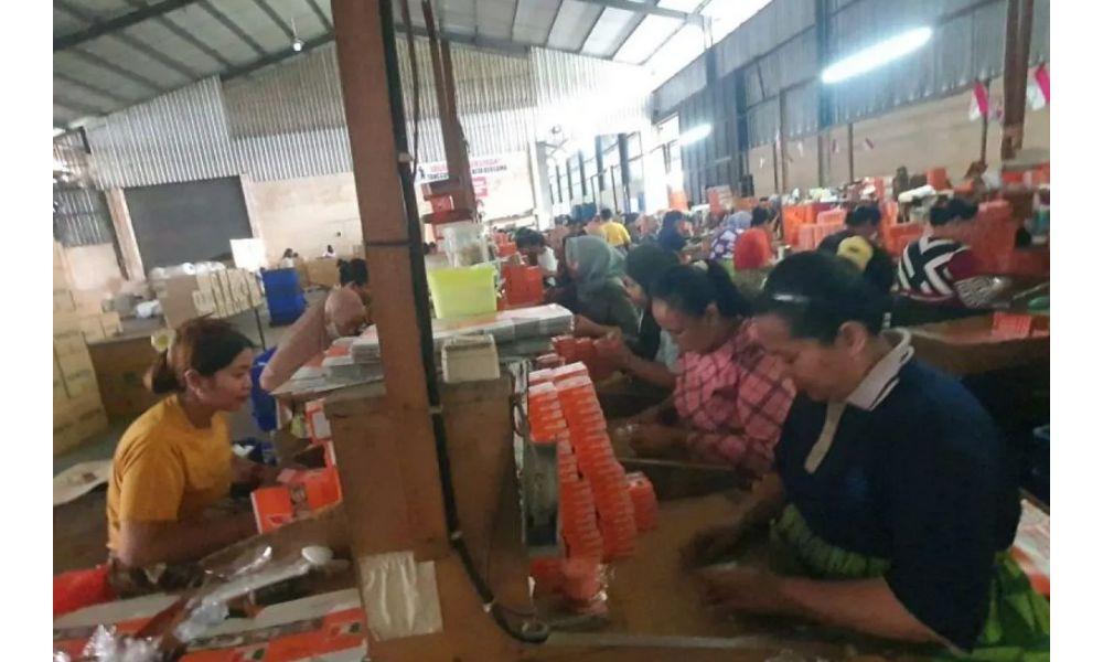 Peneliti UB Desak Penindakan Rokok Ilegal Diperkuat demi Selamatkan Industri Hasil Tembakau