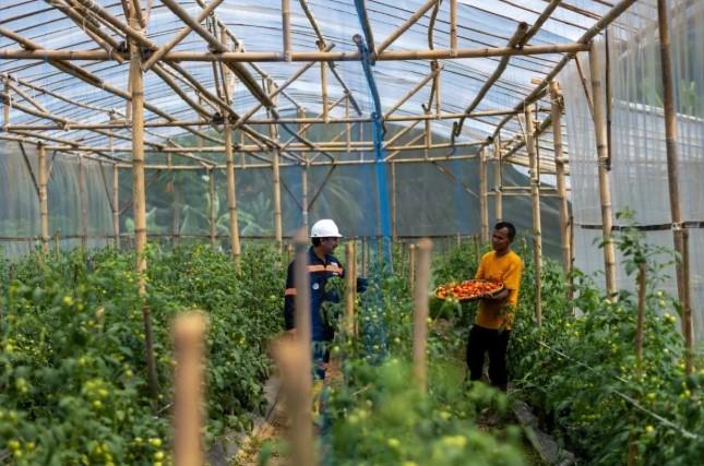Antam UBPE Pongkor Kembangkan Program Garitan Kalongliud, Pulihkan 35 Hektare Lahan dan Tingkatkan Pendapatan Petani 65 Perse