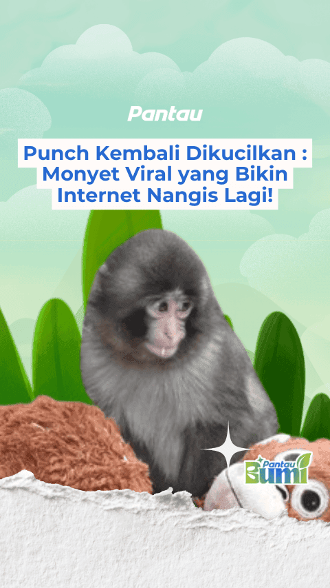 PUNCH KEMBALI DIKUCILKAN