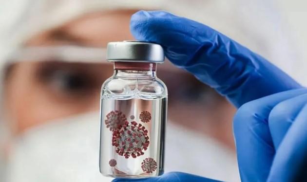 Kemenkes: Masa Inkubasi Virus Nipah 4–14 Hari, Waspadai Gangguan Pernapasan dan Neurologis