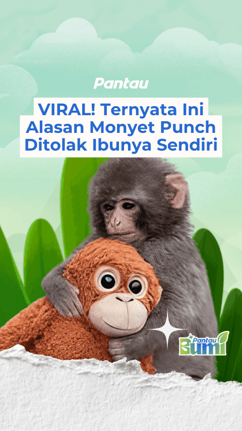 ALASAN PUNCH DITOLAK IBUNYA