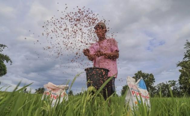 Kementan Siapkan Aturan Turunan Perpres 113/2025 untuk Sempurnakan Tata Kelola Pupuk Bersubsidi