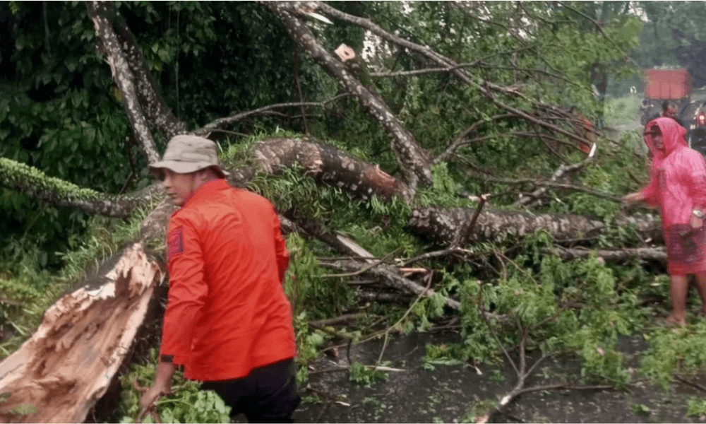 BNPB Menyatakan Dampak Cuaca Ekstrem di Kota Binjai Meluas ke Lima Kecamatan