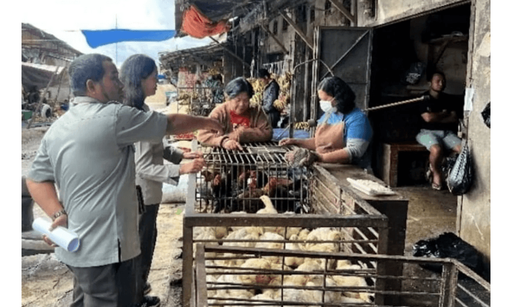 Kementan Pastikan Harga Daging Ayam Terkendali di Tapanuli Utara dan Toba Jelang Ramadhan 2026