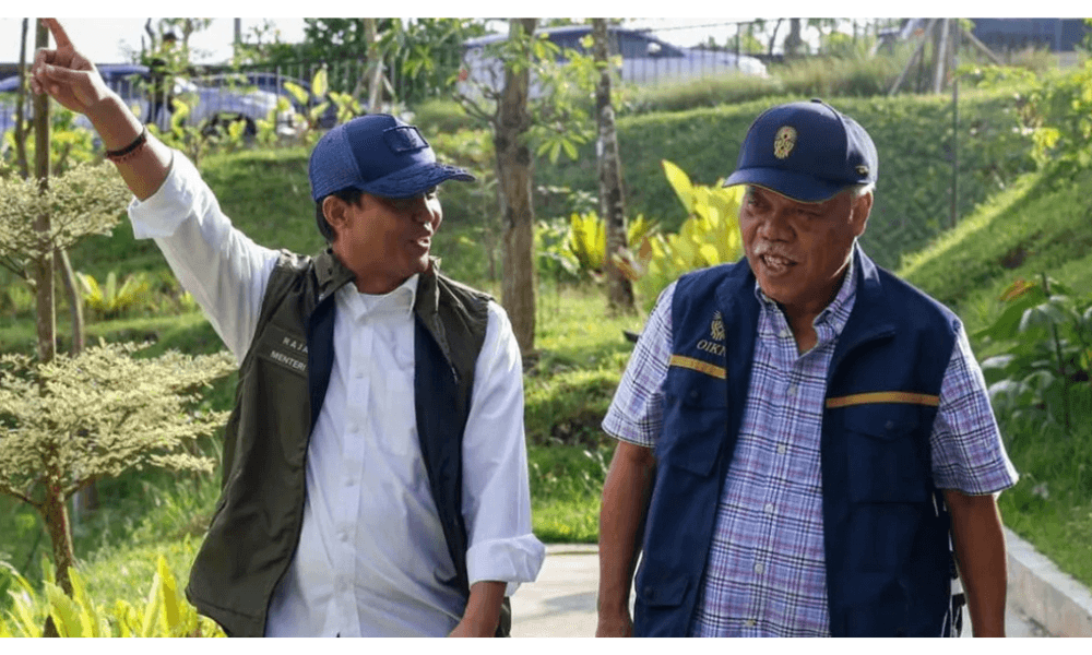 Rehabilitasi 1.805 Hektare Hutan IKN Mulai Datangkan Satwa dan Dukung Konsep Forest City