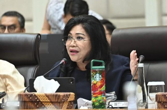 DPR Minta Keselamatan dan Pelayanan Penumpang Terjaga Imbas Gangguan Penerbangan Global