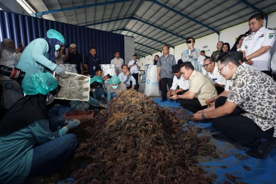 Optimalisasi Sistem Resi Gudang Dorong Ekspor 75 Ton Rumput Laut Indonesia ke Tiongkok Senilai Rp1,7 Miliar