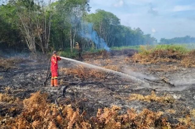 Manggala Agni Kendalikan Kebakaran Hutan dan Lahan di Bengkalis dan Pelalawan Riau
