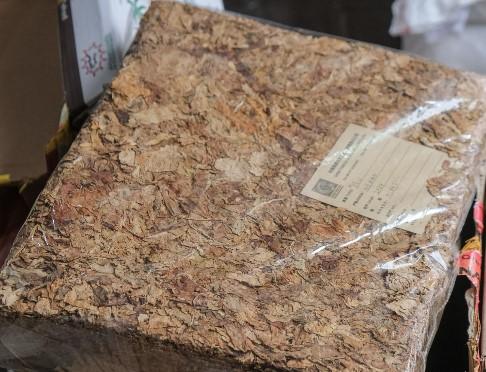 Cegah Ancaman Hama dari Luar Negeri, Karantina dan Bea Cukai Musnahkan Bibit Tanaman Ilegal