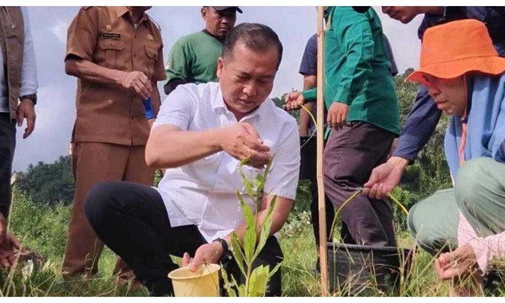 Gerakan Menanam Pohon di NTB Jadi Upaya Memulihkan Alam dan Menjaga Ketahanan Lingkungan