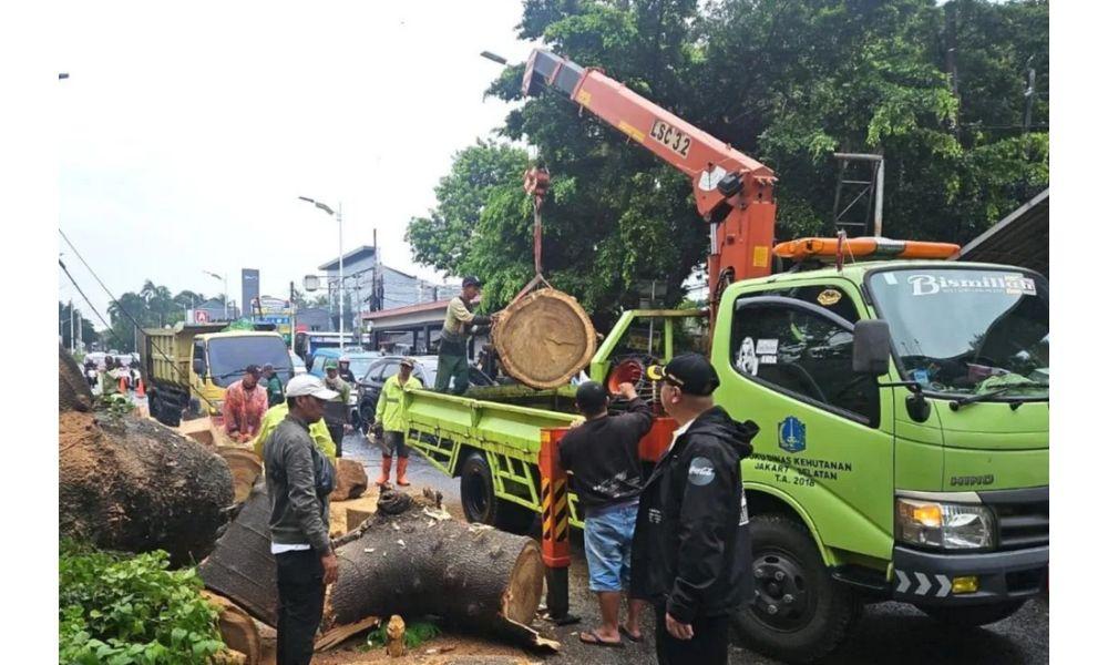 Pemkot Jakarta Selatan Berikan Santunan Rp50 Juta untuk Korban Tewas Akibat Pohon Tumbang