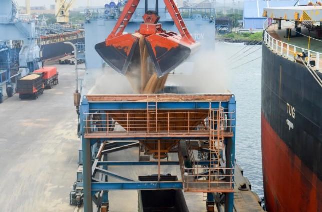 Pelabuhan Ciwandan Tangani Bongkar Muat 70 Ribu Ton Gandum Impor dari Argentina