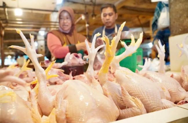 Pemerintah Jaga Stok dan Harga Daging Ayam Ras Tetap Stabil Menjelang Idul Fitri 1447 H