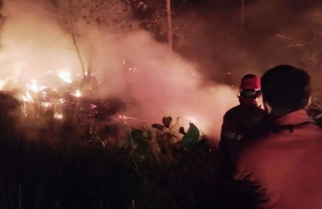 Kebakaran Hutan dan Lahan Seluas Tiga Hektare di Natuna Berhasil Dipadamkan Petugas
