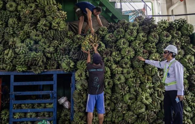 ASDP Padang Prediksi Lonjakan Penumpang Rute Padang–Mentawai Saat Lebaran