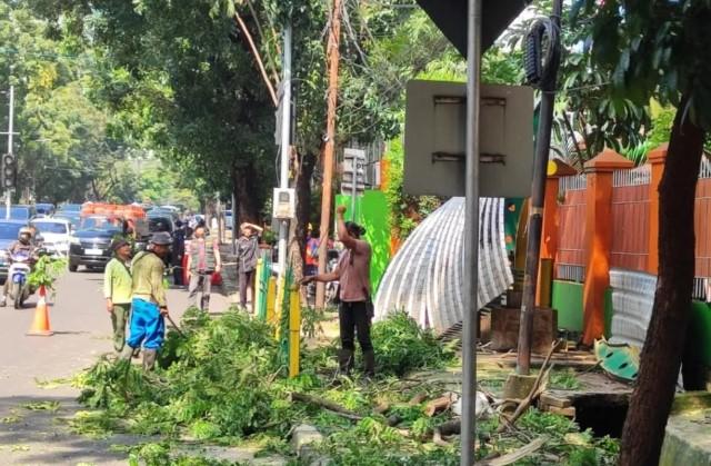 Pohon Tumbang Tutup Jalan Pakubuwono VI, Tiga Pengendara Motor Luka Ringan