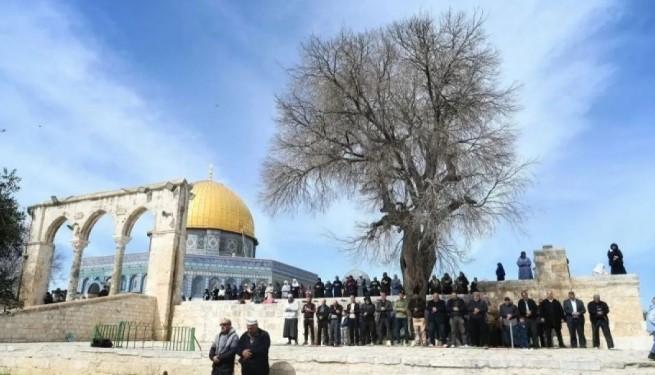 Indonesia dan Negara Arab Kecam Penutupan Masjid Al-Aqsa oleh Israel saat Ramadhan